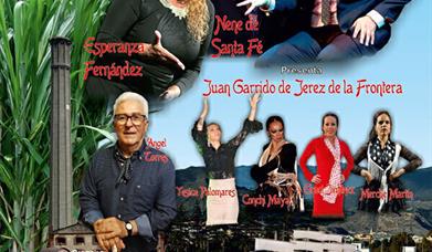 Festival Flamenco de la Costa Tropical