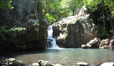 Río de la Miel