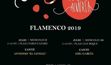 Flamenco Plazeando