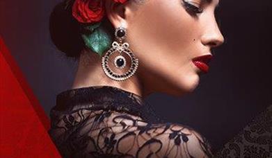 Roquetas en Clave de Flamenco