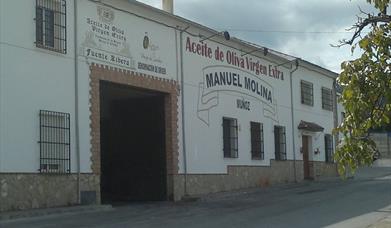 Aceites Manuel Molina e Hijos