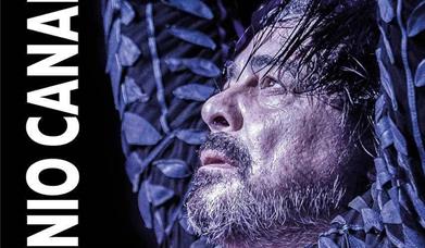 Festival Tacón Flamenco de Utrera