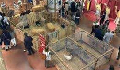 Belén Viviente de Baeza