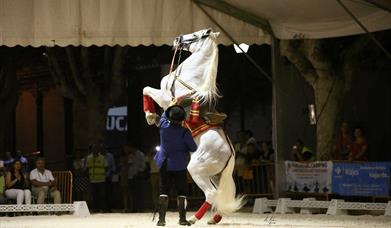 Concurso Morfológico y Funcional de la Ciudad de Andújar, Anducab