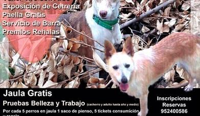 Feria del Podenco y el Perro de Caza