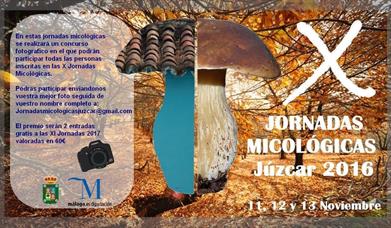 Jornadas Micológicas Valle del Genal