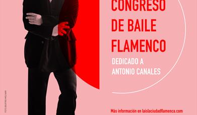 Congreso de baile flamenco