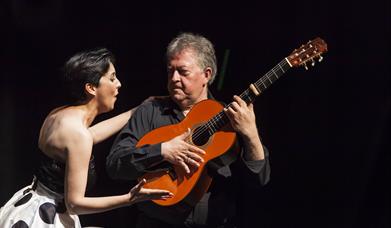 Noche de Flamenco en la calle