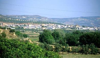 Salar