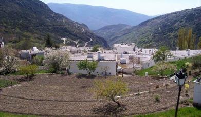 Bubión