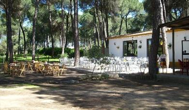 Camping Dehesa Nueva