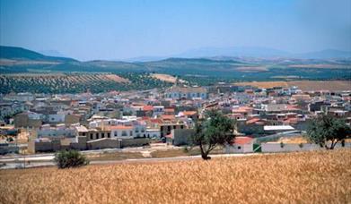 Pedrera