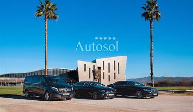 Autosol