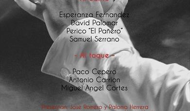 Festival de Cante Flamenco de Campillos