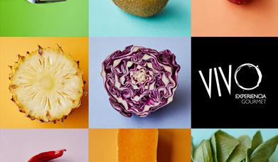 VIVO Experiencia Gourmet
