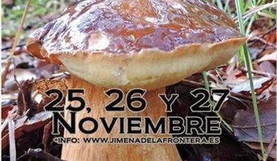 Jornadas Micológicas del Parque de los Alcornocales