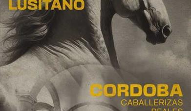 Feria del Caballo de Córdoba - CABALCOR
