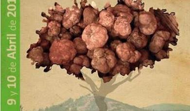 Feria Gastronómica del Andévalo: La turma, la trufa blanca