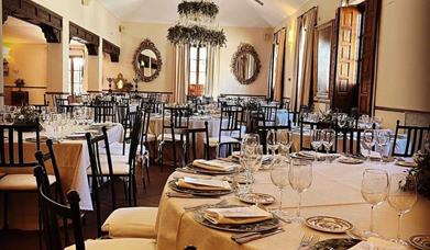 Palmeras del Brillante