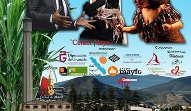 Festival Flamenco "Motril Puerto del Azúcar"