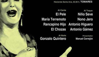 Festival Flamenco Ciudad de Tomares