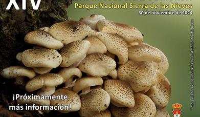 Jornadas Micológicas de Monda