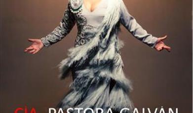 Festival Flamenco "La Mar de Cantes"