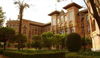 Universidad de Córdoba