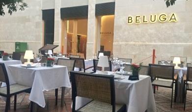 Restaurante Beluga