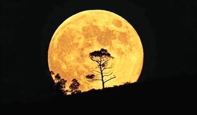 Ruta de la Luna Llena