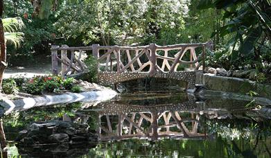 Hacienda Nadales