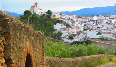 Feria de la Aceituna