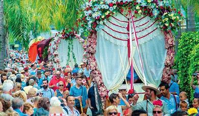 Romería y Feria de San Miguel