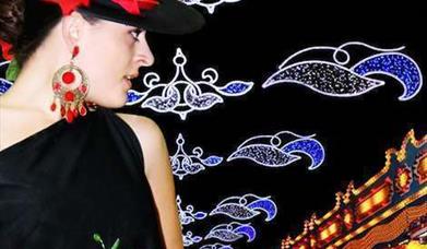 Feria de Todos los Santos de Albox