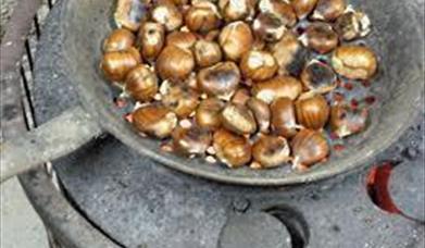 Fiesta de la Castaña en Pujerra