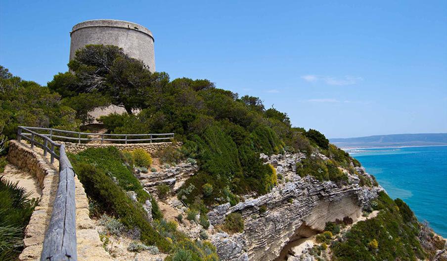 La Breña y Marismas de Barbate