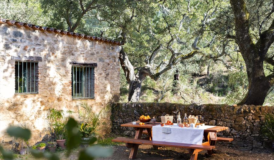 Casa Rural Nature Space Jabugo. Origanum