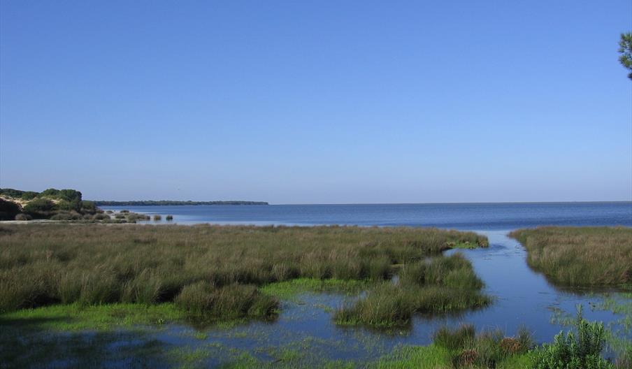 Doñana