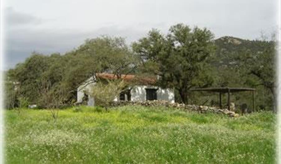 Casa del Puente