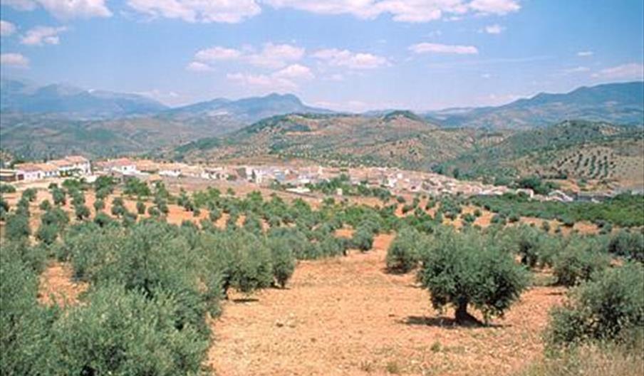Cárcheles