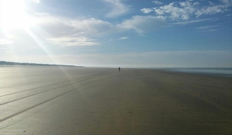 Doñana