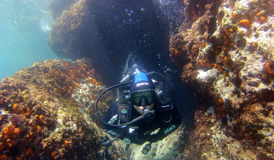 Black Frog Divers