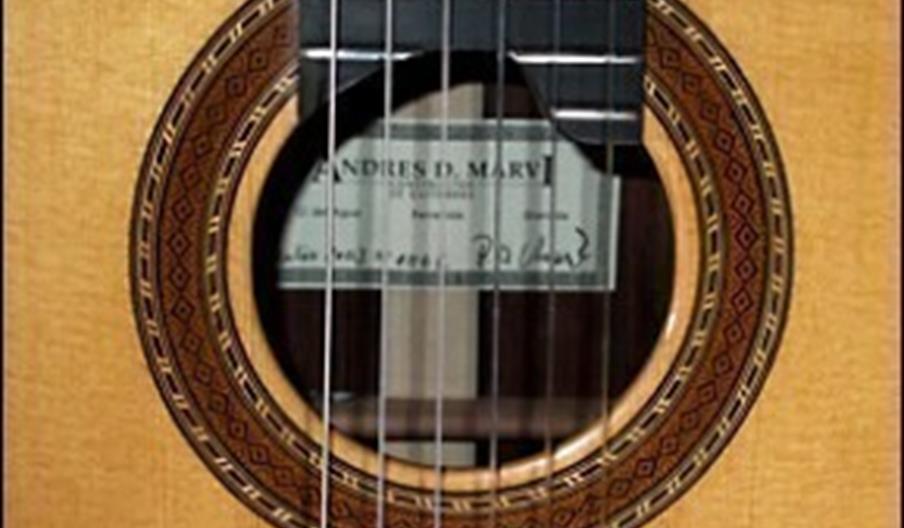 Andrés D. Marvi