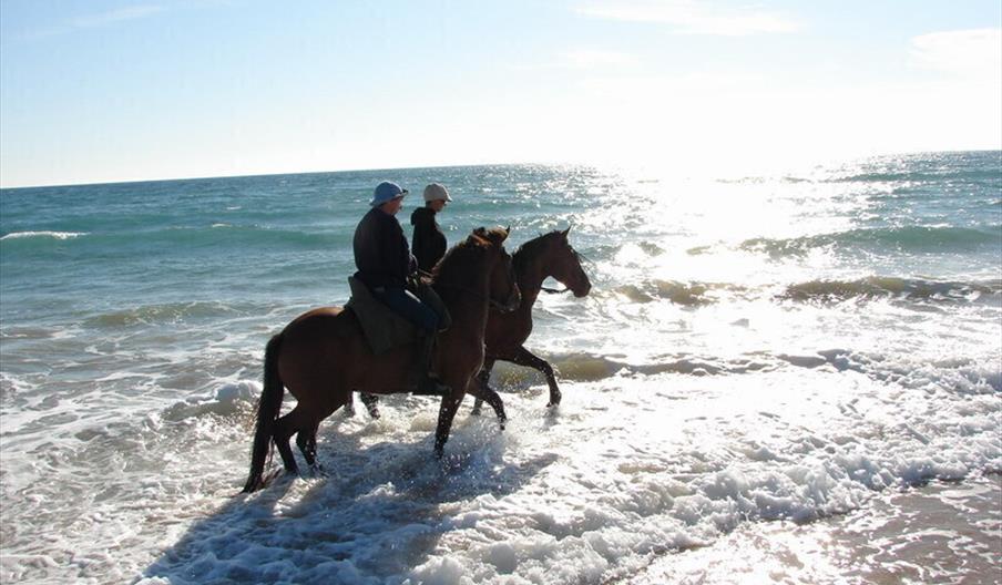 Centro Hípico Pinares y Mar