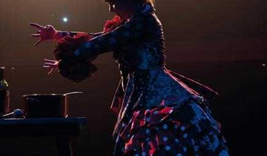 Bienal de Flamenco