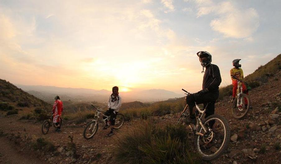 Thebikeshuttle