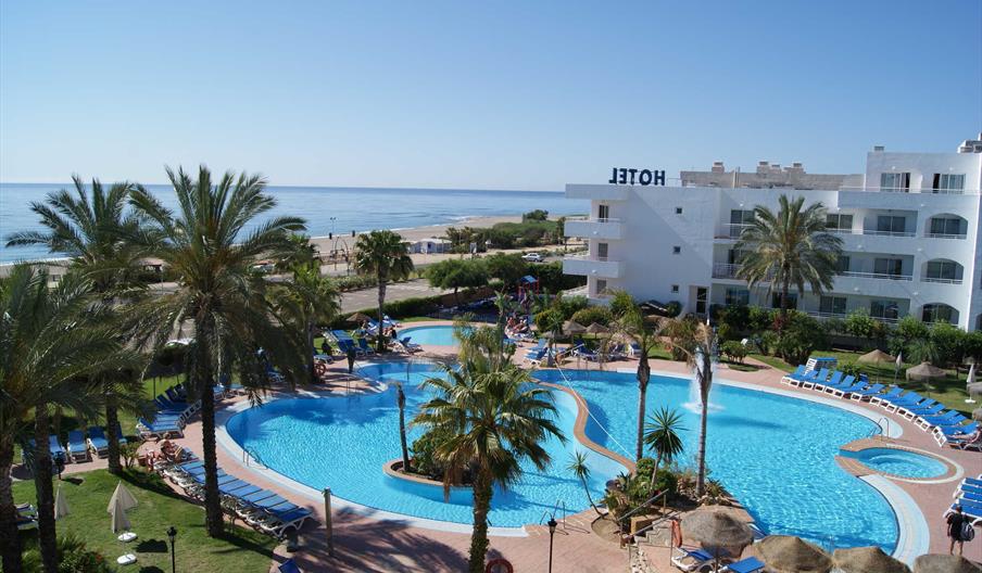 Best Oasis Tropical