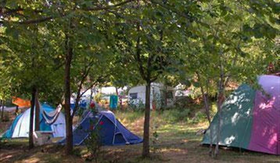 Camping Balcón de Pitres