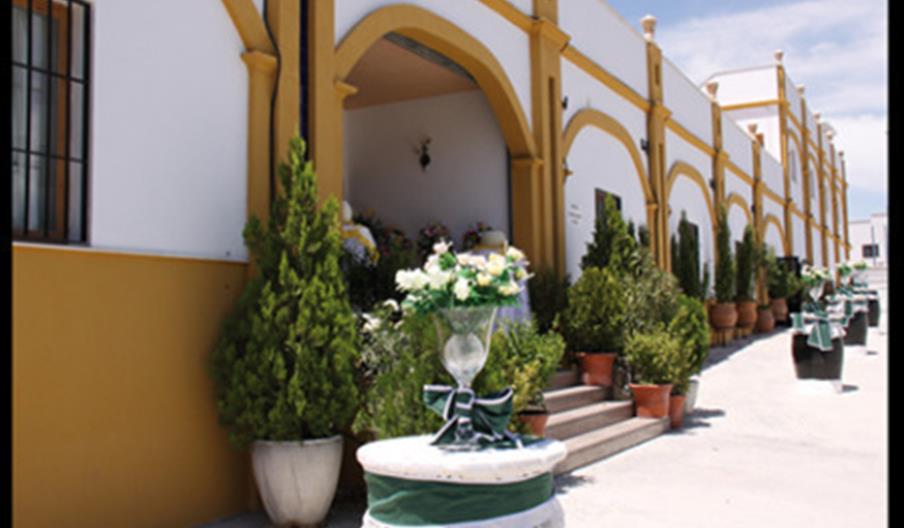 La Loma de la Sarga