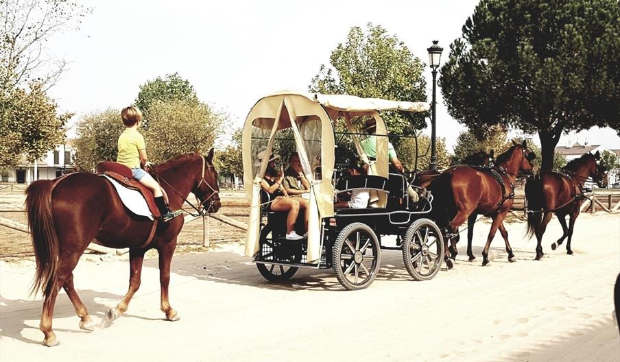Rutas Doñana
